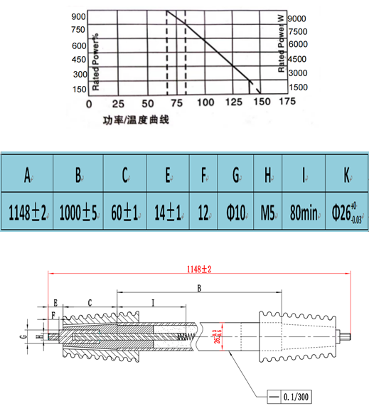 Stainless Tubular Power Resistor SSTR9000Type secondary